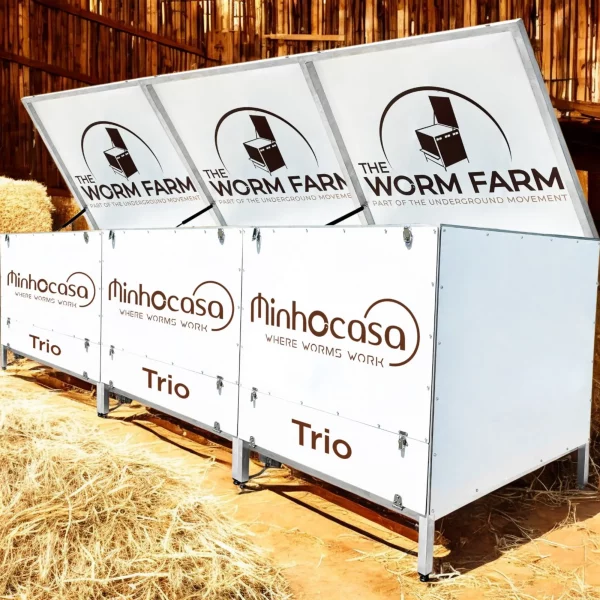 Minhocasa 'Trio'