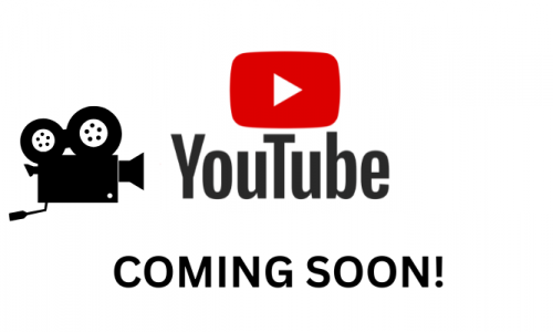 Worms are more powerful than the African elephant and more important to the economy than the cow Charles Darwin (700 x 400 px) (3)